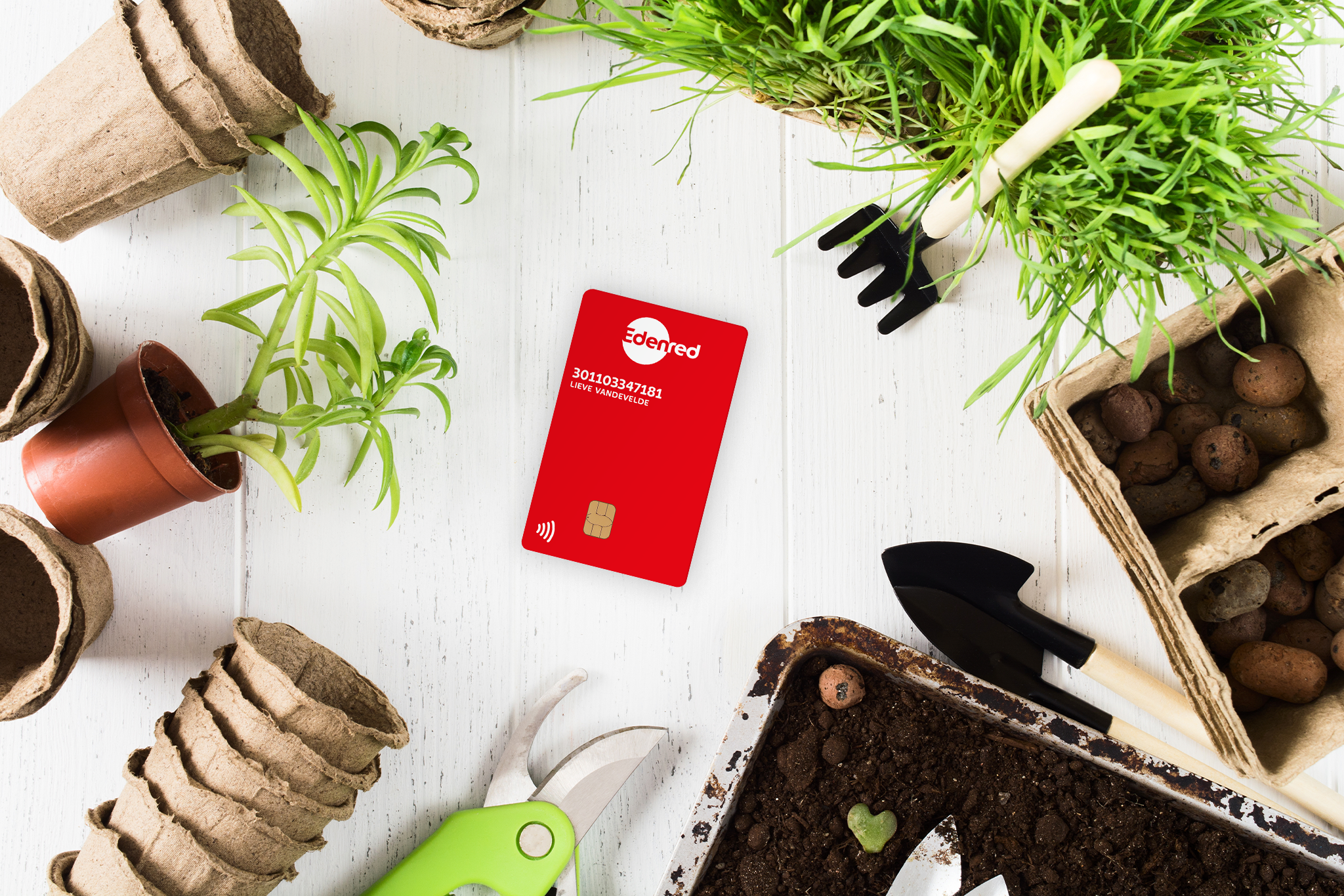 Les éco-chèques sur la carte Edenred dans une jardinerie