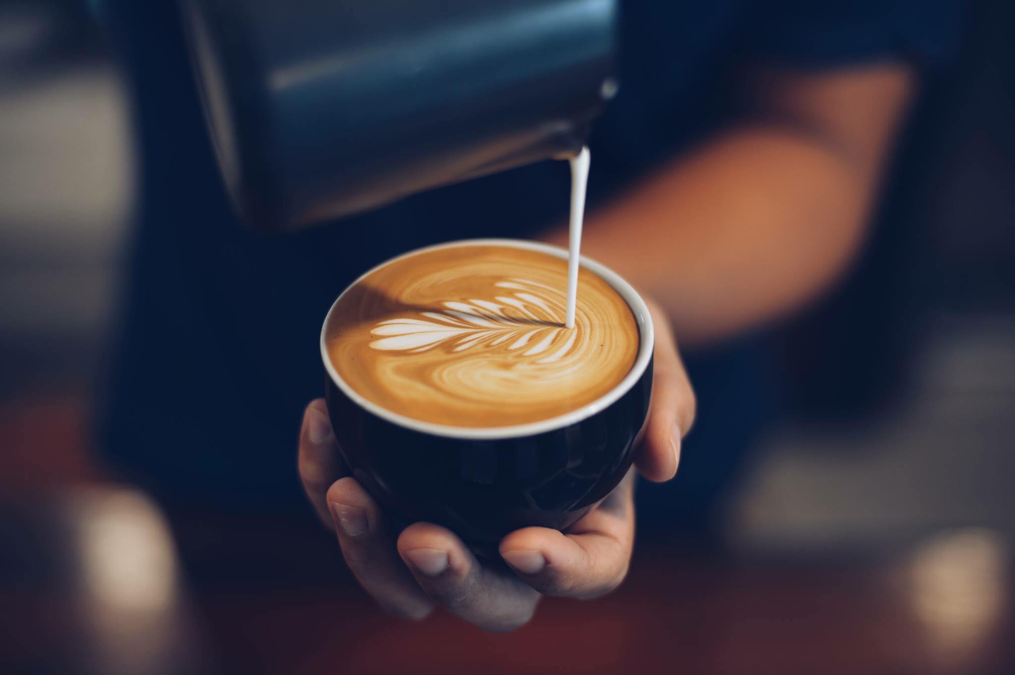 Les meilleures marques de café à prix le plus bas. Grains de café, capsules Nespresso et Dolce Gusto, dosettes Senseo et café filtre. Illy, Segafredo, Lavazza, Gran Maestro Italiano, Highlands Gold, Celeste d'Oro et L'OR Espresso.