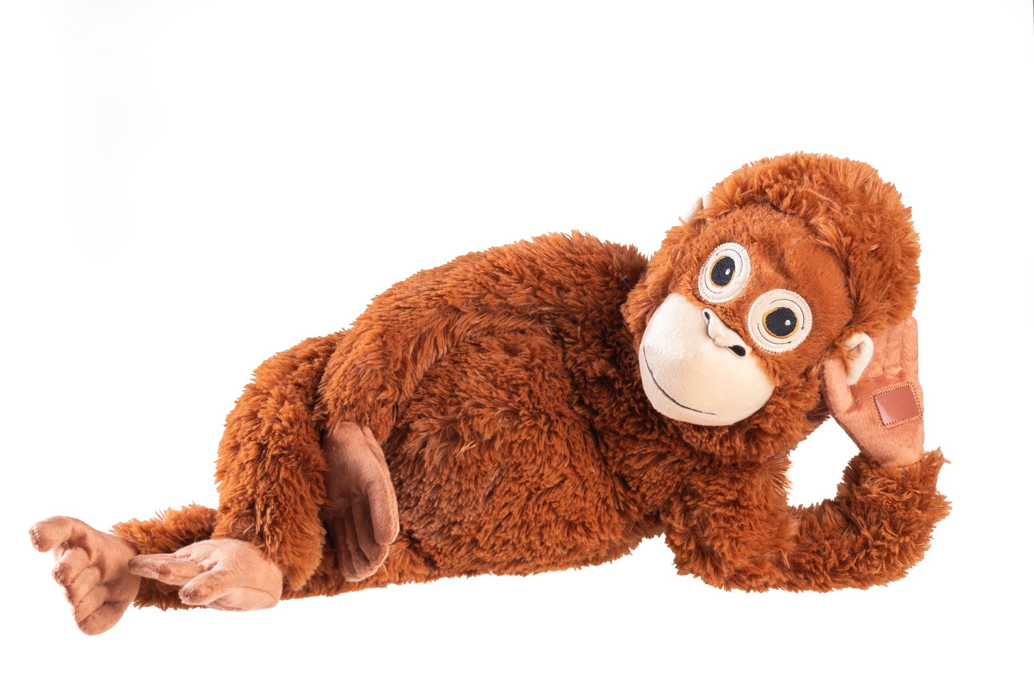 Repas sains et bio avec des ingrédients locaux.