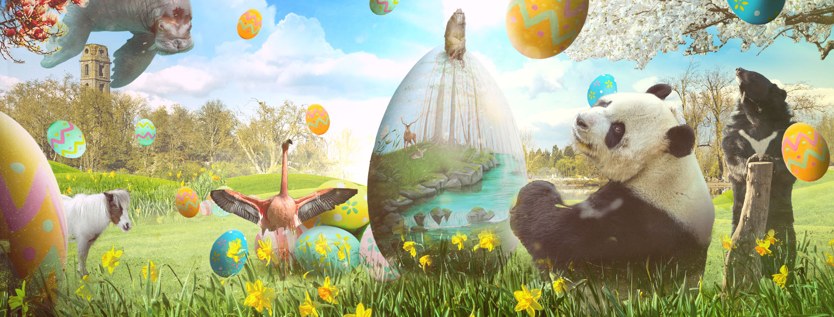 Een magische dierenwereld met unieke ervaringen voor het gezin.