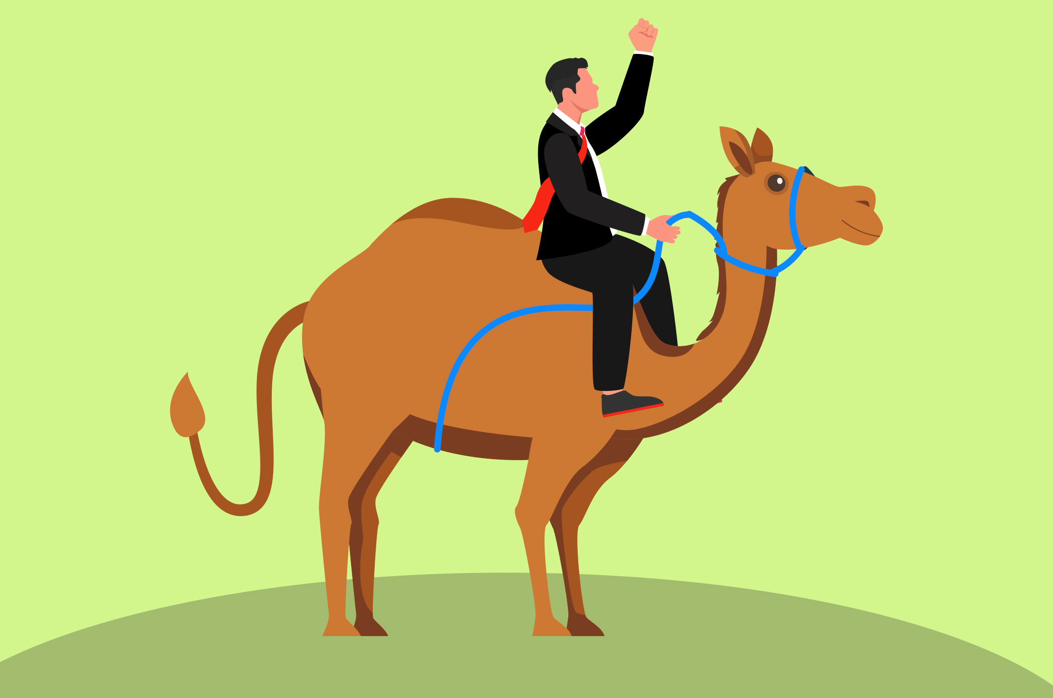 Een dagje samenwerken met een ‘beestige collega’ die Charlie heet? Een vergadering met pluizenbol Jack aan uw voeten? Het kan allemaal! In België zijn honden namelijk op 21 % van de werkplekken welkom. Maar die eer valt niet alleen hen te beurt.