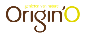 Origin Logo