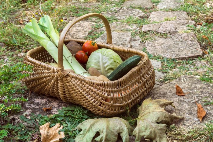 Consommons de saison grâce aux chèques-repas Edenred Repas